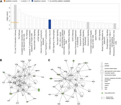 Analysis and Construction of a Molecular Diagnosis Model of Drug-Resistant Epilepsy Based on Bioinformatics